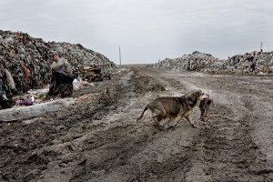 Albanian Dumps, 2009