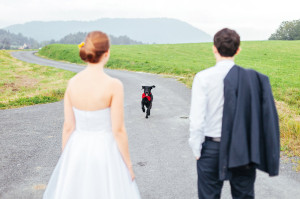 Svatební hafan utíká a běží
